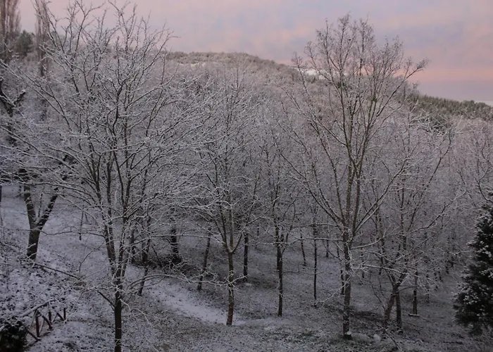 Bed & Breakfast Altra Meta Gubbio